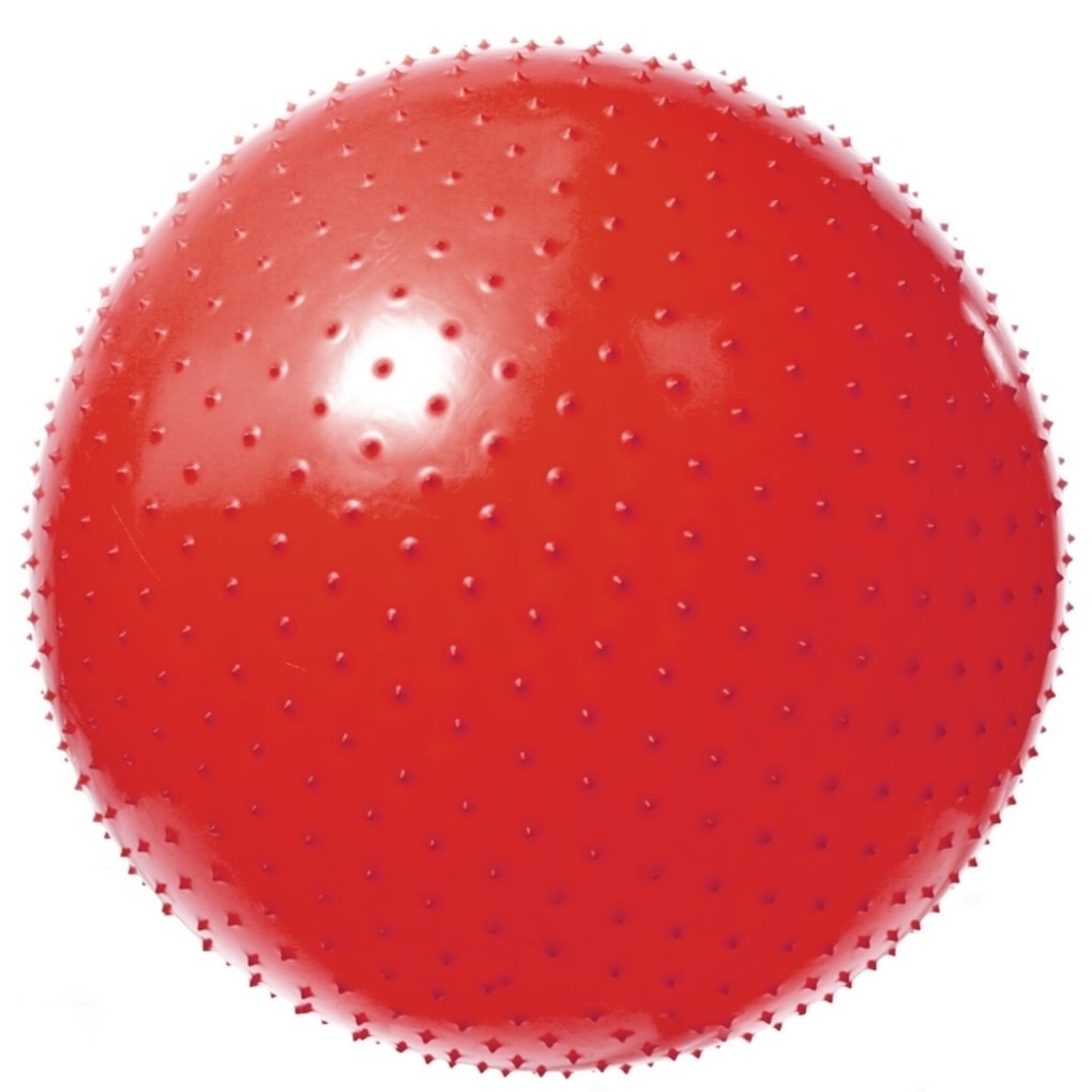 Bola de masaje gimnasia aguja VEGA-602/55